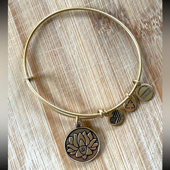 Alex and Ani Lotus Peace Petals Charm Bangle Bracelet Recycle Energy 2015 USA - Picture 1 of 4